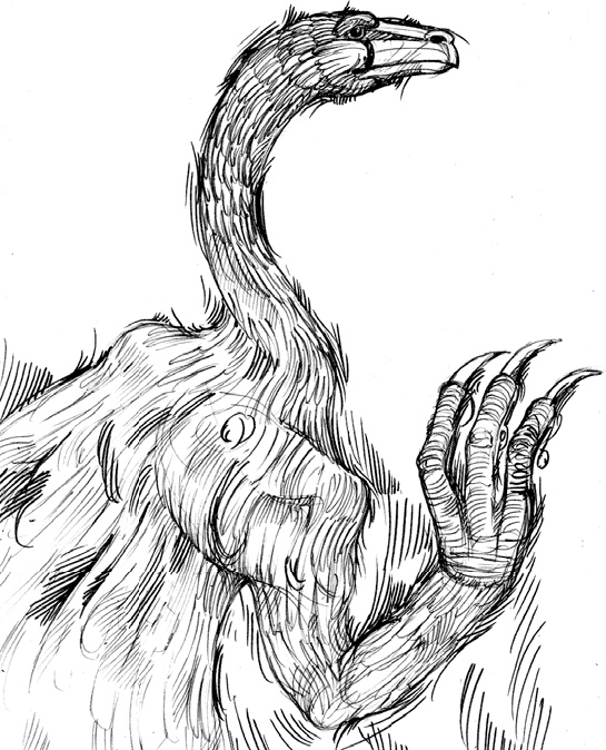 Иллюстрация к книге — Разные человечества. Эволюция. Разум. Антропология [_61.jpg]