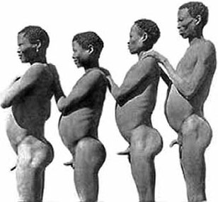 Иллюстрация к книге — Разные человечества. Эволюция. Разум. Антропология [_77.jpg]