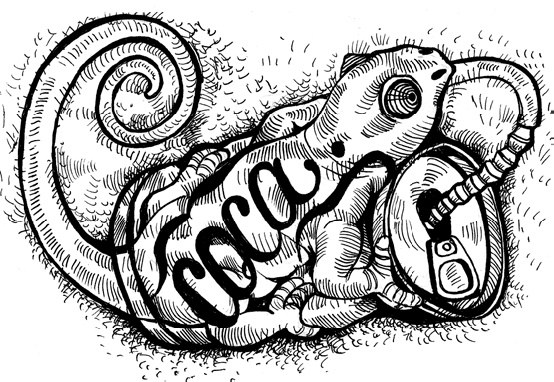 Иллюстрация к книге — Человек третьего тысячелетия. Эволюция. Разум. Антропология [_12.jpg]