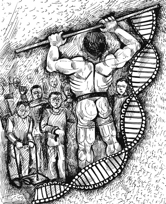 Иллюстрация к книге — Человек третьего тысячелетия. Эволюция. Разум. Антропология [_35.jpg]