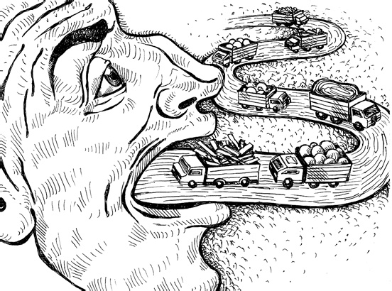 Иллюстрация к книге — Человек третьего тысячелетия. Эволюция. Разум. Антропология [_38.jpg]