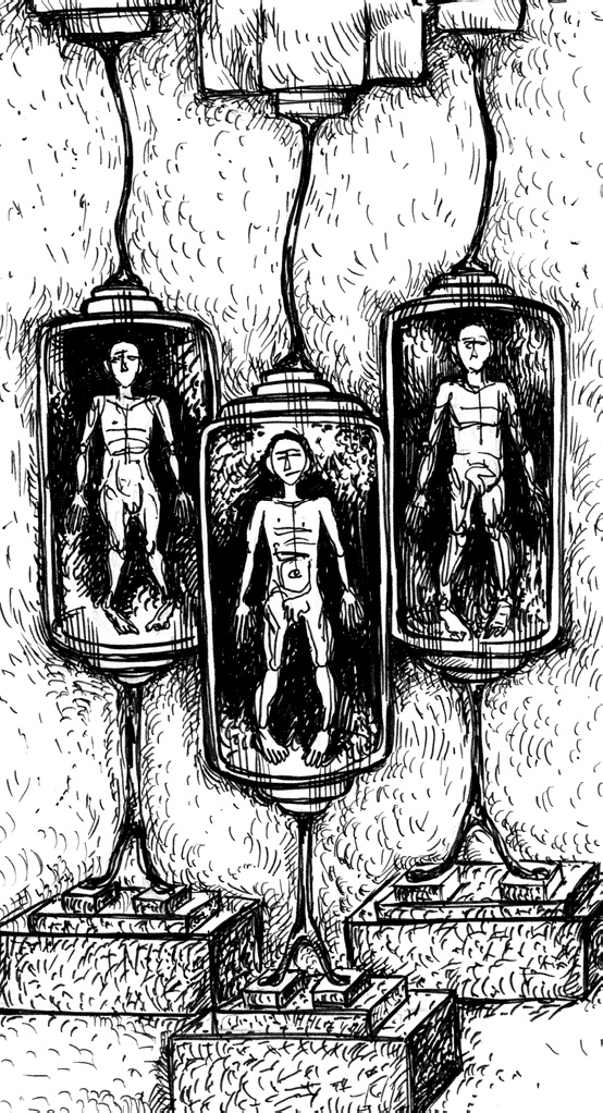 Иллюстрация к книге — Человек третьего тысячелетия. Эволюция. Разум. Антропология [_43.jpg]