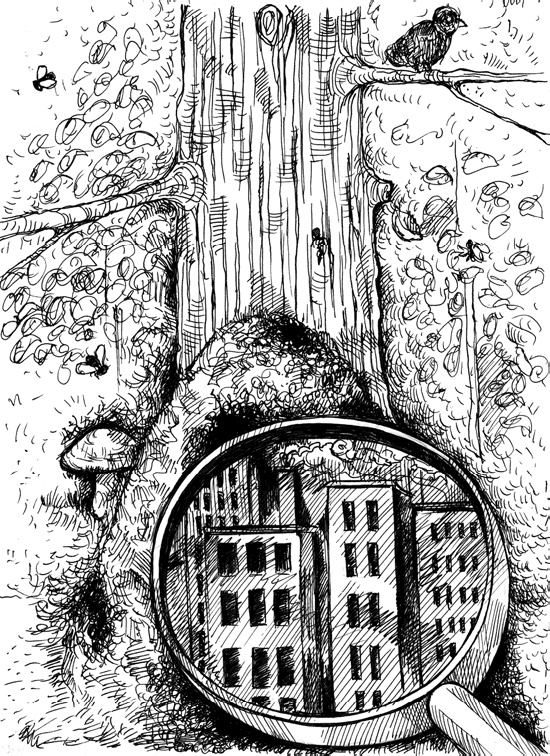 Иллюстрация к книге — Человек третьего тысячелетия. Эволюция. Разум. Антропология [_7.jpg]