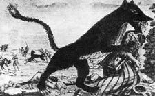 Иллюстрация к книге — Разум и цивилизация, или Мерцание в темноте. Эволюция. Разум. Антропология [_10.jpg]