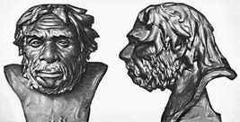 Иллюстрация к книге — Разум и цивилизация, или Мерцание в темноте. Эволюция. Разум. Антропология [_30.jpg]