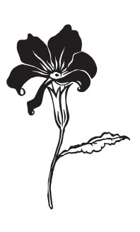 Иллюстрация к книге — Внутри женщины [i_001.jpg]