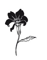 Иллюстрация к книге — Внутри женщины [i_002.jpg]