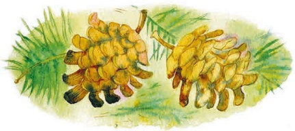 Иллюстрация к книге — Мы и большущее озеро [i_018.jpg]