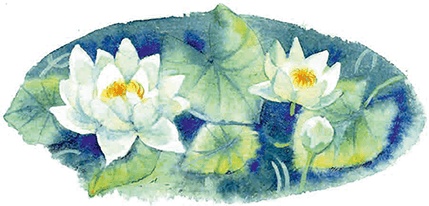 Иллюстрация к книге — Мы и большущее озеро [i_030.jpg]