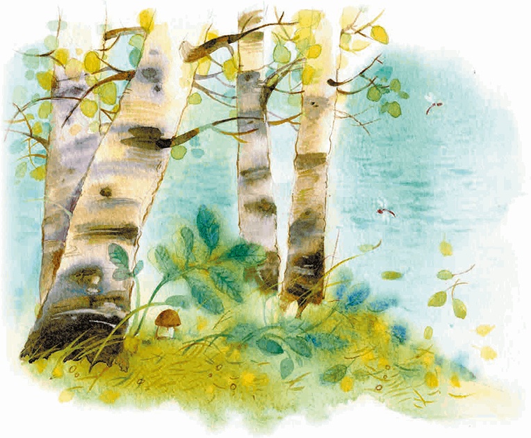 Иллюстрация к книге — Мы и большущее озеро [i_042.jpg]