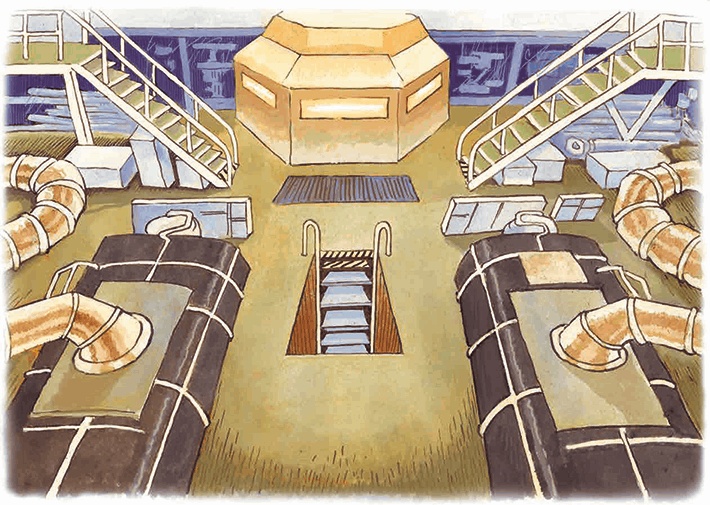 Иллюстрация к книге — Навстречу белому медведю [i_005.jpg]