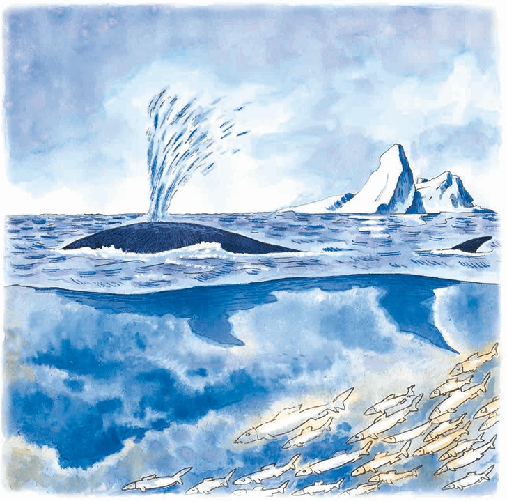 Иллюстрация к книге — Навстречу белому медведю [i_007.jpg]