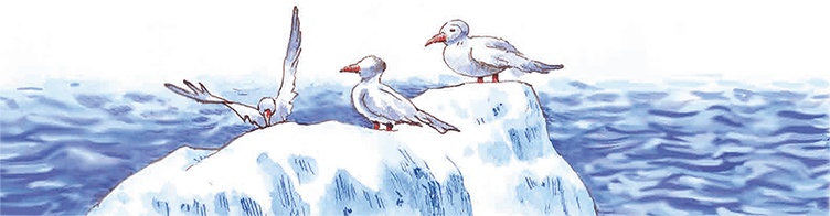 Иллюстрация к книге — Навстречу белому медведю [i_024.jpg]