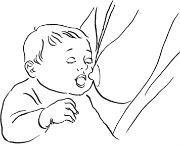 Иллюстрация к книге — Я мама первый год. Книга о счастливом материнстве [i_031.jpg]