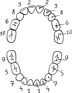Иллюстрация к книге — Я мама первый год. Книга о счастливом материнстве [i_101.jpg]