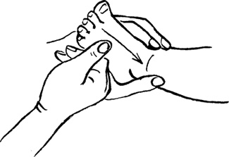 Иллюстрация к книге — Я мама первый год. Книга о счастливом материнстве [i_210.jpg]