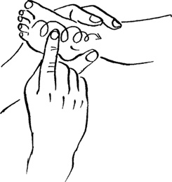 Иллюстрация к книге — Я мама первый год. Книга о счастливом материнстве [i_212.jpg]