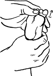 Иллюстрация к книге — Я мама первый год. Книга о счастливом материнстве [i_213.jpg]