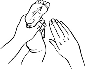 Иллюстрация к книге — Я мама первый год. Книга о счастливом материнстве [i_214.jpg]