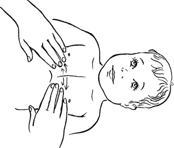 Иллюстрация к книге — Я мама первый год. Книга о счастливом материнстве [i_220.jpg]