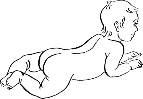 Иллюстрация к книге — Я мама первый год. Книга о счастливом материнстве [i_227.jpg]