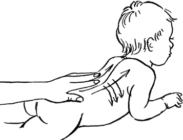 Иллюстрация к книге — Я мама первый год. Книга о счастливом материнстве [i_229.jpg]