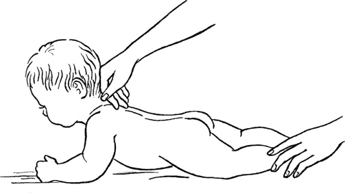 Иллюстрация к книге — Я мама первый год. Книга о счастливом материнстве [i_230.jpg]