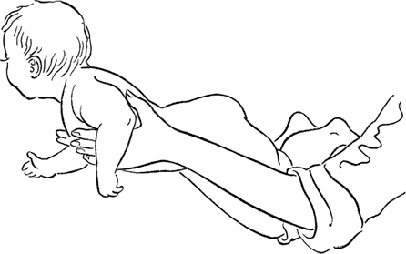 Иллюстрация к книге — Я мама первый год. Книга о счастливом материнстве [i_253.jpg]