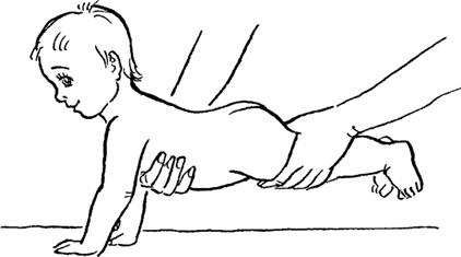 Иллюстрация к книге — Я мама первый год. Книга о счастливом материнстве [i_275.jpg]