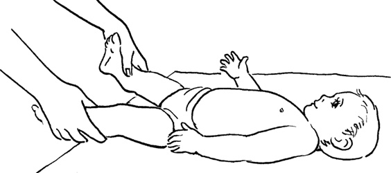 Иллюстрация к книге — Я мама первый год. Книга о счастливом материнстве [i_279.jpg]