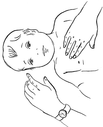 Иллюстрация к книге — Я мама первый год. Книга о счастливом материнстве [i_315.jpg]