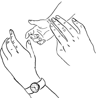 Иллюстрация к книге — Я мама первый год. Книга о счастливом материнстве [i_316.jpg]