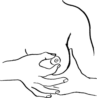 Иллюстрация к книге — Я мама первый год. Книга о счастливом материнстве [i_334.jpg]