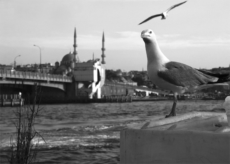 Иллюстрация к книге — Убийца из города абрикосов. Незнакомая Турция - о чем молчат путеводители [i_010.jpg]