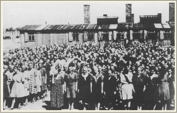 Иллюстрация к книге — Свитки из пепла [i_095.jpg]