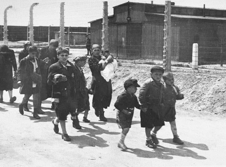 Иллюстрация к книге — Свитки из пепла [i_099.jpg]