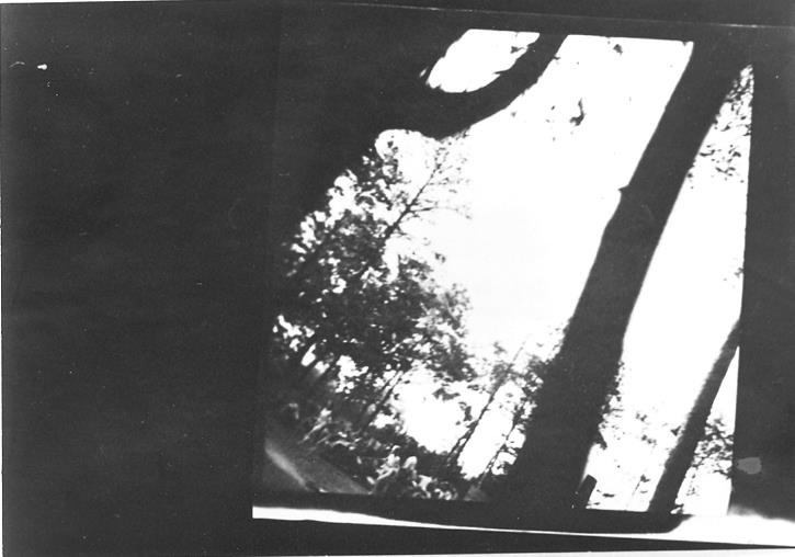 Иллюстрация к книге — Свитки из пепла [i_105.jpg]