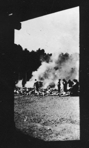 Иллюстрация к книге — Свитки из пепла [i_106.jpg]