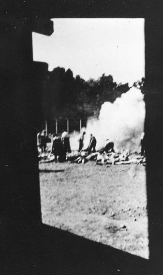 Иллюстрация к книге — Свитки из пепла [i_107.jpg]