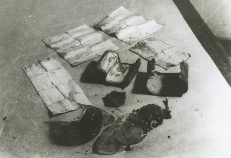 Иллюстрация к книге — Свитки из пепла [i_127.jpg]