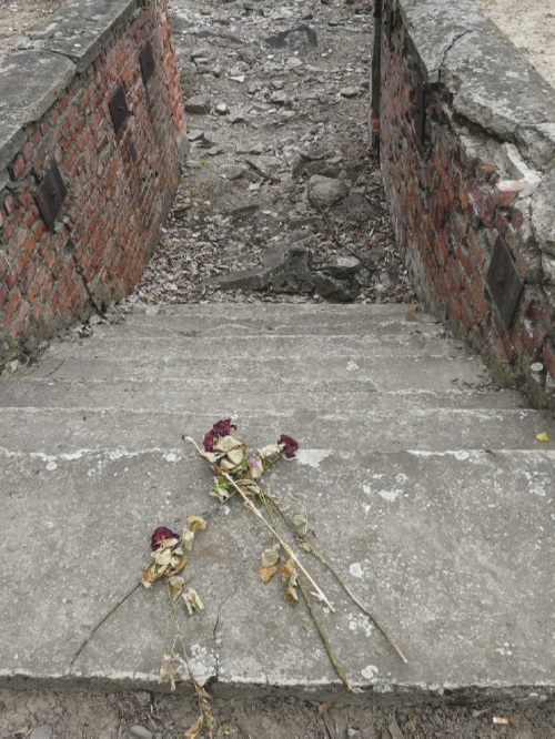 Иллюстрация к книге — Свитки из пепла [i_143.jpg]