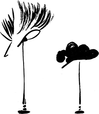 Иллюстрация к книге — Зеркало моды [i_017.jpg]