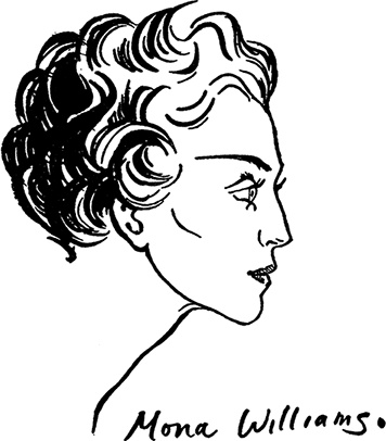 Иллюстрация к книге — Зеркало моды [i_102.jpg]