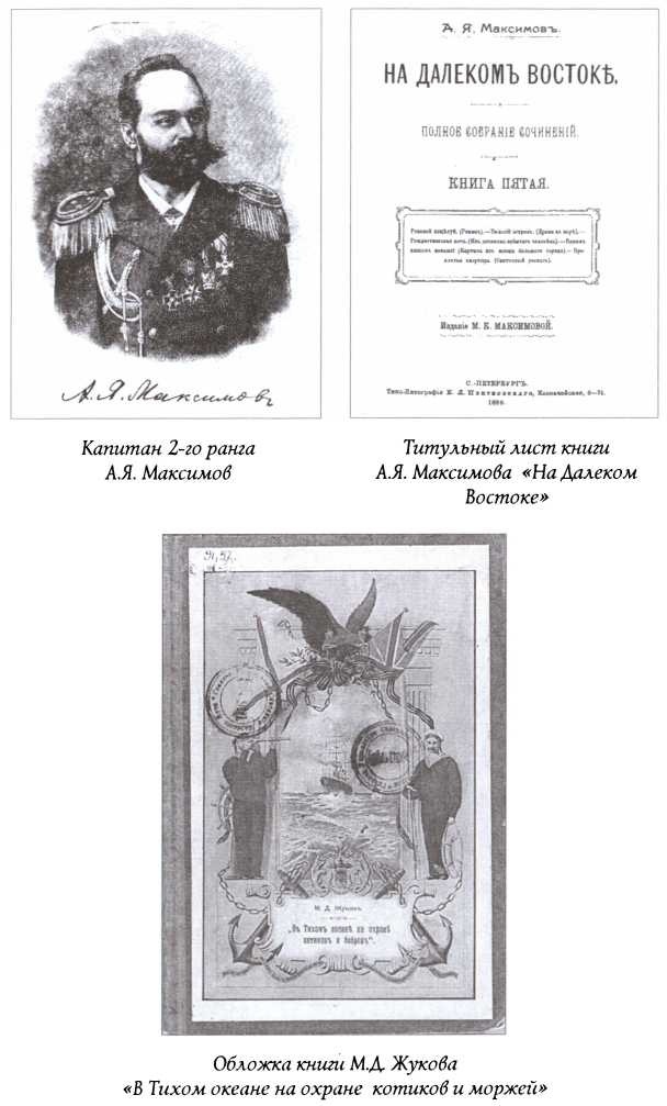 Иллюстрация к книге — Под флагом России [img_2.jpg]