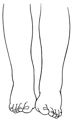 Иллюстрация к книге — Здоровое сердце. Издание XXI века [i_041.jpg]