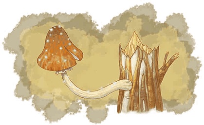 Иллюстрация к книге — Мальчик с пальчик и добрая мачеха [i_008.jpg]