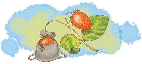 Иллюстрация к книге — Мальчик с пальчик и добрая мачеха [i_019.jpg]