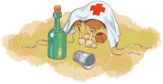 Иллюстрация к книге — Мальчик с пальчик и добрая мачеха [i_037.jpg]