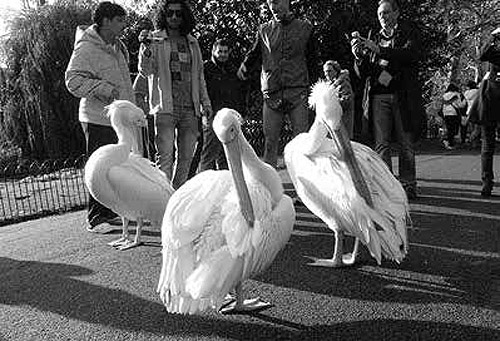 Иллюстрация к книге — Секс, игра и шоколад. Удовольствия и пристрастия [i_001.jpg]