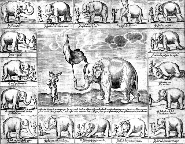 Иллюстрация к книге — Франкская империя Карла Великого. &quot;Евросоюз&quot; Средневековья [i_023.jpg]